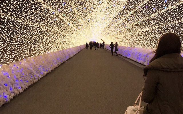 イルミネーション
